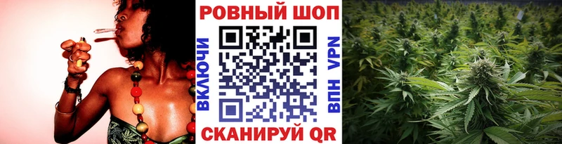 Где продают наркотики Новоржев Гашиш  Меф 