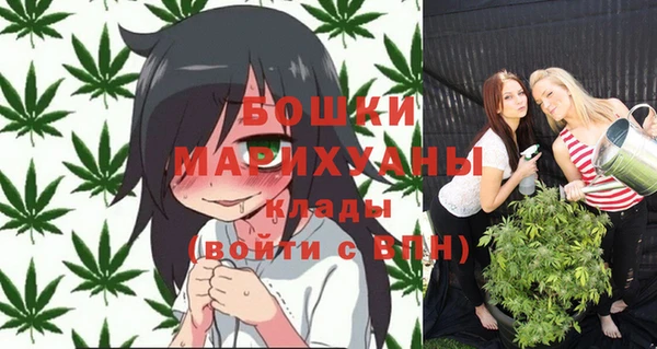 МДПВ Горняк