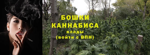 МДПВ Горняк
