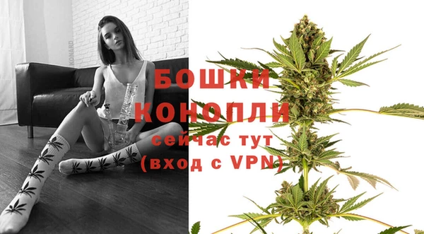 МДПВ Горняк