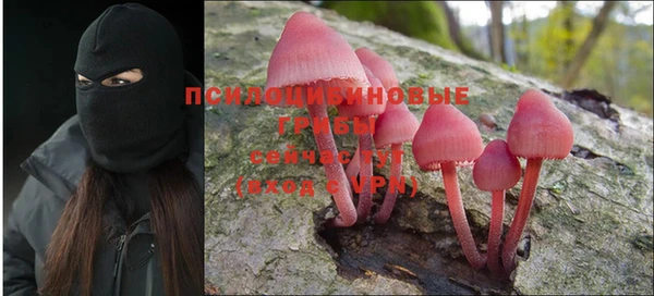 МДПВ Горняк