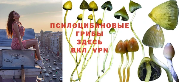 МДПВ Горняк