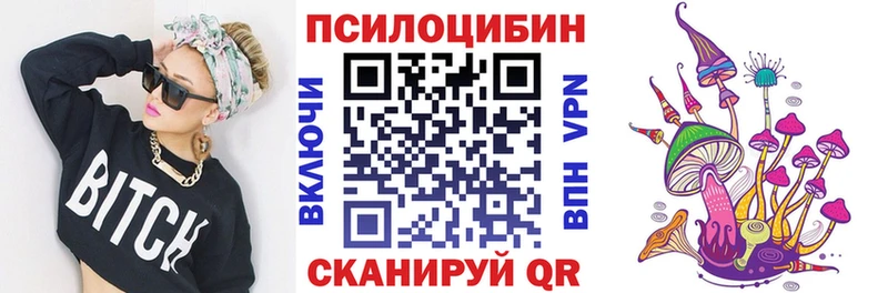 Галлюциногенные грибы мицелий  купить наркоту  Новоржев 