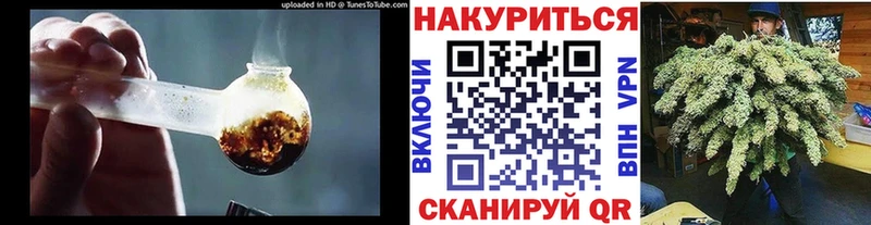 MEGA ТОР  Новоржев  мориарти телеграм  Марихуана SATIVA & INDICA 